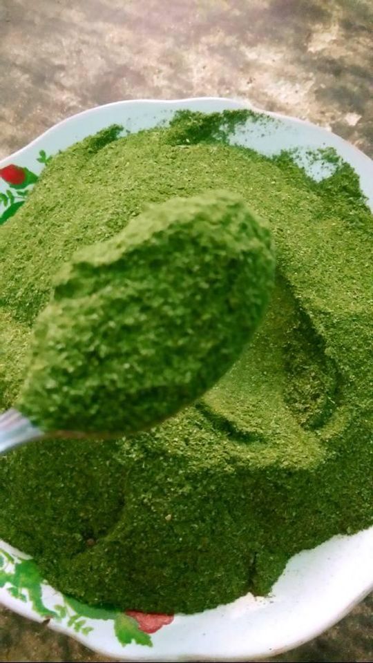 moringa powder